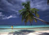 Sun Island Resort & Spa 
